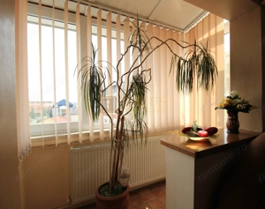 3 camere, centrala proprie, zona Olimpia. - imagine 8