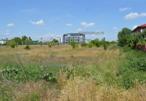 Terem 8000 mp Comuna Manolache ilfov - imagine 2