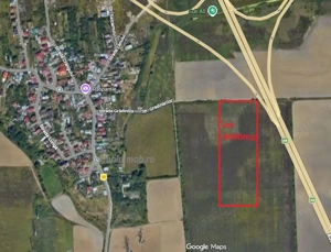 Terem 8000 mp Comuna Manolache ilfov