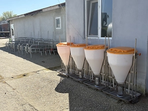 Vând hrănitori automate pentru îngrășarea porcilor - imagine 3