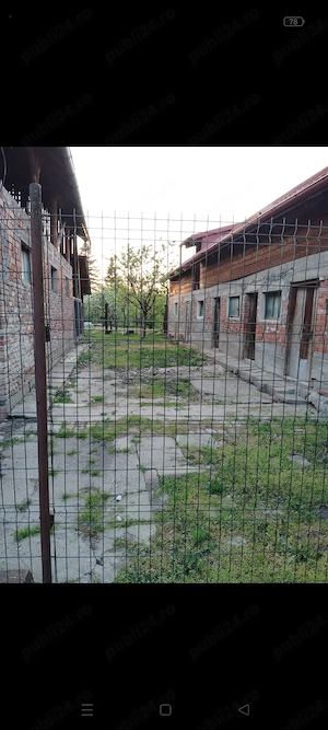 Casa Dumbrăvița vatra veche de vânzare  - imagine 4