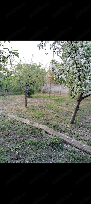 Casa Dumbrăvița vatra veche de vânzare  - imagine 6