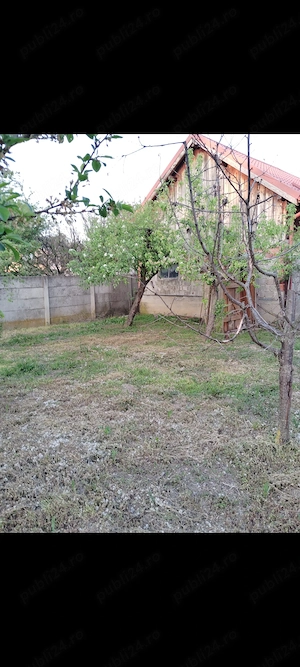 Casa Dumbrăvița vatra veche de vânzare  - imagine 8