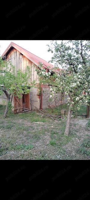 Casa Dumbrăvița vatra veche de vânzare  - imagine 7