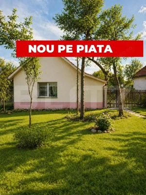 Casa Batraneasca 1500mp teren Dragsina