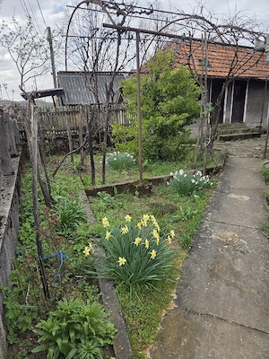 Vând casă în localitatea Cracu Muntelui, Ponoarele! - imagine 5