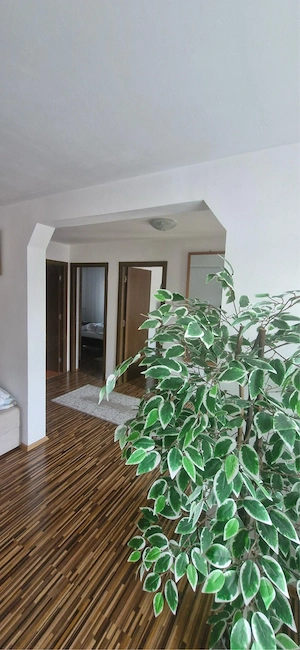 schimb casa Lilieci (vand) - imagine 2