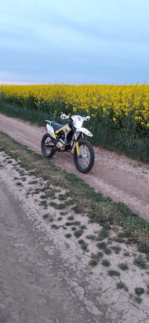 Vand cross asix de 250 an de fabricație 2024  - imagine 4