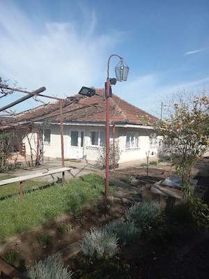 Casa plan parter de vanzare in Munteni de Jos la 4 km de mun Vaslui - imagine 9