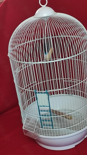 colivie pt. pasari papagali canari etc impecabila inaltime 70 cm diametrul 38 cm - imagine 5