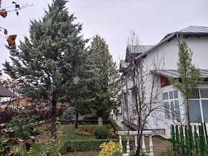 Casă de vânzare în Pucioasa (Comuna Moțăieni, la 900 m de Pucioasa) - imagine 13
