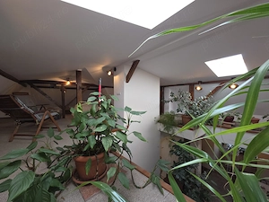 Oportunitate unică în zona Ferdinand   Proprietate multifuncțională cu 3 unități locative - imagine 5