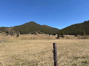TEREN INTRAVILAN DE VÂNZARE   Ciocănești, jud. Suceava | 20.000 mp | Panoramă montană excepțională - imagine 2