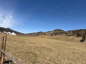 TEREN INTRAVILAN DE VÂNZARE   Ciocănești, jud. Suceava | 20.000 mp | Panoramă montană excepțională - imagine 4