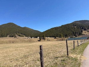 TEREN INTRAVILAN DE VÂNZARE   Ciocănești, jud. Suceava | 20.000 mp | Panoramă montană excepțională - imagine 5