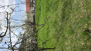 Teren intravilan 1048mp persoana fizica