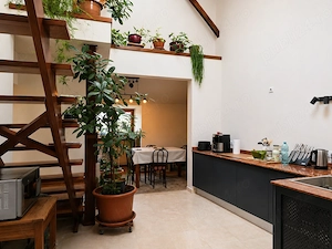 Oportunitate unică în zona Ferdinand   Proprietate multifuncțională cu 3 unități locative - imagine 2