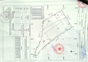 Direct proprietari, la Metrou Antilopa, bd Biruinței,  com Pantelimon  - imagine 2