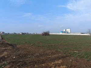 Dragomiresti Valea - Langa Centura, teren 31.200 mp, 28E/mp - imagine 4