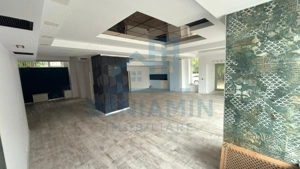 Oportunitate - Spatiu Comercial - Vad - 130-mp - Calea-Bucuresti - imagine 5
