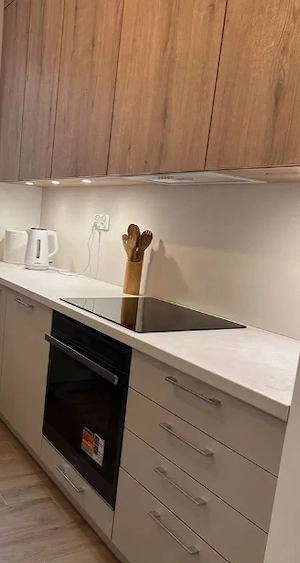 Inchiriez apartament cu 2 camere in zona Piata Muncii  - imagine 3