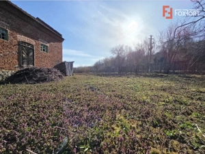 Casa individuala cu 1440 mp teren, 4 camere, Barzava, Lalasint - imagine 4