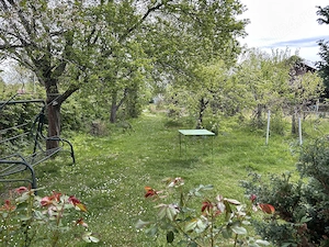 Gradina premium 1000 mp-Tocile de Sus, SADU - imagine 3