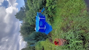 Gradina premium 1000 mp-Tocile de Sus, SADU - imagine 8