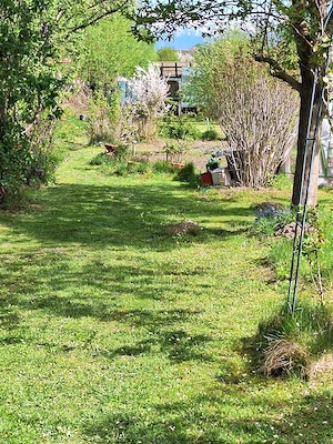 Gradina premium 1000 mp-Tocile de Sus, SADU - imagine 6