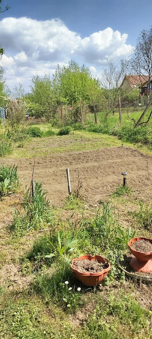 Gradina premium 1000 mp-Tocile de Sus, SADU - imagine 9