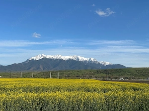 Vand casa Zarnesti-Tohanul Vechi - imagine 5