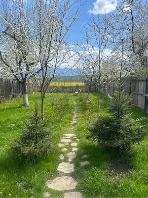 Vand casa Zarnesti-Tohanul Vechi - imagine 2