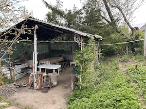 Gradina premium 1000 mp-Tocile de Sus, SADU - imagine 10