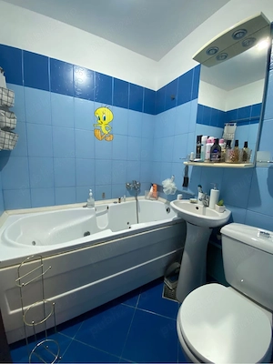 Apartament de vanzare, zona Piata Nicolina - imagine 8
