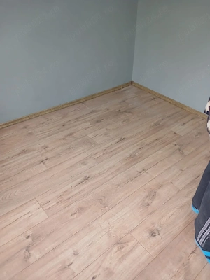 renovari apartamente case