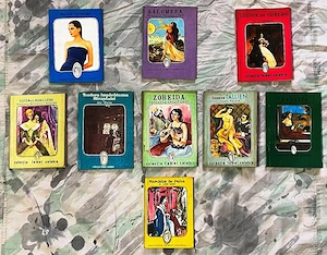 lot de 9 noua carti de la editura intim colectia femei celebre