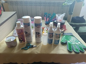 TITLU: Cat Sitting de LUX & Asistență Medicală (Jurist & Asistent Medical)    Olimpul Pisicilor  - imagine 4