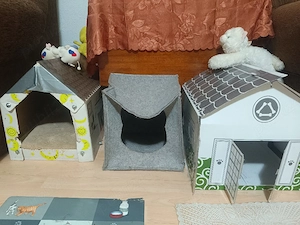 TITLU: Cat Sitting de LUX & Asistență Medicală (Jurist & Asistent Medical)    Olimpul Pisicilor  - imagine 5