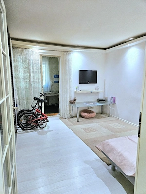 Garsoniera Drumul Taberei, Plaza România