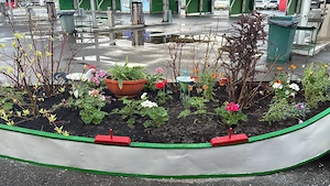 Grill Restaurant,angajăm bucătar cu experiență 