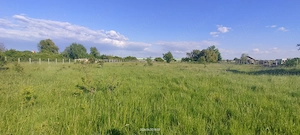 Teren Intravilan Timișoara-Freidorf de vânzare  - imagine 4