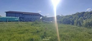 Teren Intravilan Timișoara-Freidorf de vânzare 