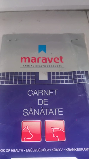 Donez catel bichon  - imagine 2