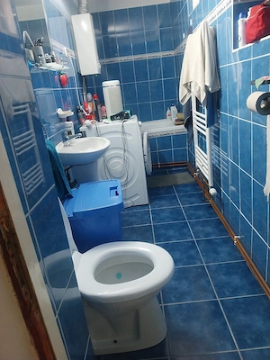 casa de vinzare Batar Bihor - imagine 5