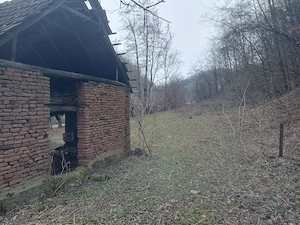 Se vinde teren intravilam si extravilan in judejul Hundoara,comuna Certeju de Sus,sat Nojag   - imagine 2