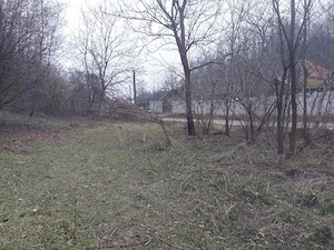 Se vinde teren intravilam si extravilan in judejul Hundoara,comuna Certeju de Sus,sat Nojag  