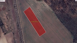 Teren Intravilan zona industrială la Noua Centura BUFTEA ILFOV - imagine 6