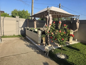 Casa de vanzare in Sendreni Galați  - imagine 4