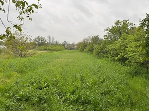 Vand teren intravilan Gostinu