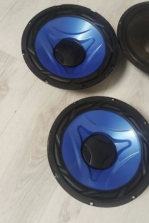 Difuzoare 10 inch 